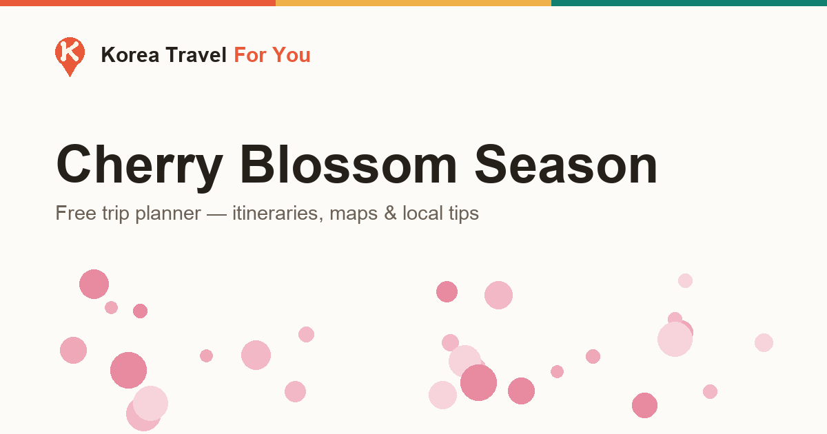 Korea Cherry Blossom Season — When to Go & Where to See the Best Blooms